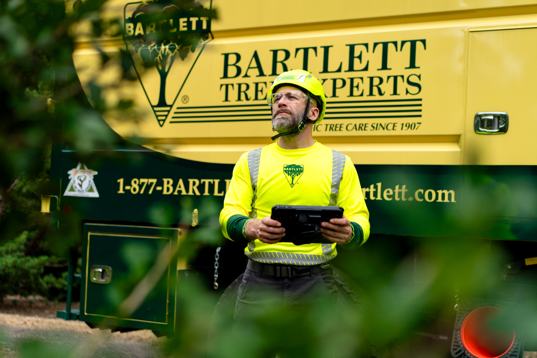 Commercial tree services